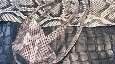 شركة تصنع الكمامات من جلود أخطر الثعابين في العالم