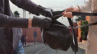 حبس أفراد عصابة تخصصت في خطف حقائب المارة في الجيزة