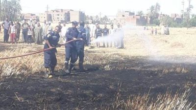 حريق يدمر محصول القمح بقرية التحرير في سوهاج | صور