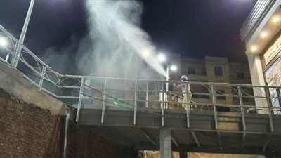 جامعة دمنهور تنظم حملة لتطهير محطة السكك الحديدية وإدارة مرور البحيرة