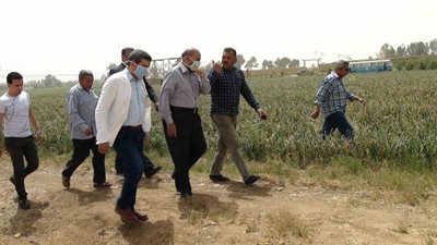 رئيس جامعة المنيا يتفقد حصاد محصولي القمح والفول بـ