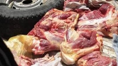 ضبط لحوم مذبوحة خارج السلخانة وسلع فاسدة خلال حملة تموينية بالبدارى بأسيوط