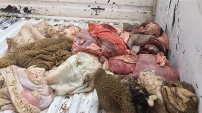 ضبط 100 كيلو لحوم وملوحة فاسدة في البلينا سوهاج