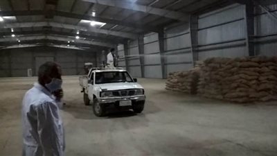 توريد 18 ألفا و729 طنا من القمح  للصوامع والشون في المنيا