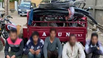 حبس تشكيل عصابي لسرقة كابلات الكهرباء في سوهاج 