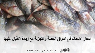 اسعار الاسماك فى اسواق الجملة والتجزئة مع زيادة الإقبال عليها