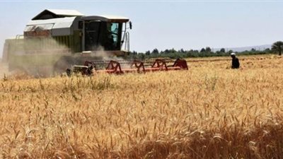 وصول 30 ألف طن من القمح بشون وصوامع قنا