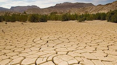 التصحر.. قاتل صامت يهدد الوادي الجديد.. 2 مليون جنيه إعانات لـ 5 آلاف أسرة في المحافظة.. والأمم المتحدة تنضم للمكافحة