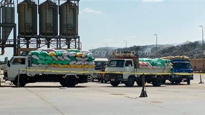 توريد 44 ألف طن قمح محلى لشون وصوامع كفر الشيخ