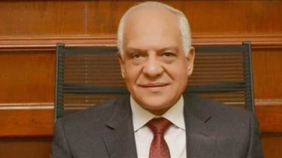 محافظ الجيزة: توريد 31 ألف طن قمح بالشون والصوامع
