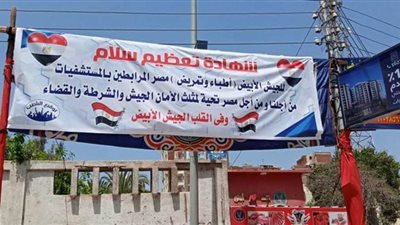 لافتات تأييد لأهالي بنها للجيش الأبيض | صور