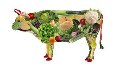 للنباتيين.. البدائل الاقتصادية والصحية للبروتين الحيواني في رمضان