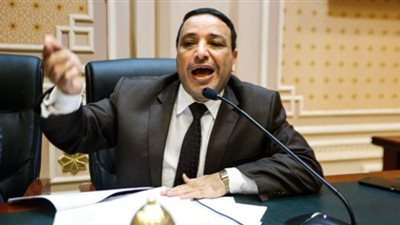 نائب: الحكومة تريد النهوض بالاقتصاد من خلال قرض صندوق النقد الدولي