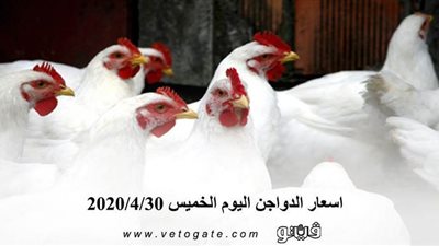 اسعار الدواجن اليوم الخميس 2020/4/30