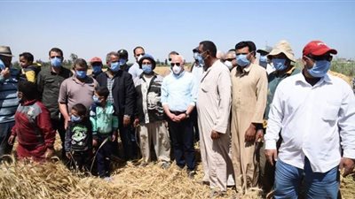 محافظ بورسعيد: انتظام توريد القمح لصوامع المحافظة بإجمالي ١٨٧٠ طنا