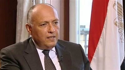 وزير الخارجية: فلسطين قضية الأمة العربية المركزية