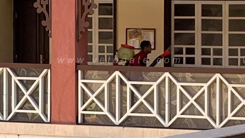 جانب من حملة التعقيم