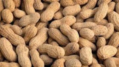 مصر تصدر 32 ألف طن من الفول السودانى خلال 7 شهور