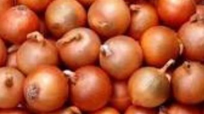 المجلس التصديري: صادرات من البصل تتجاوز 92 مليون دولار