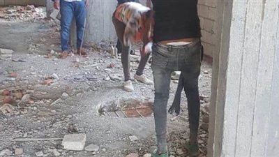 إزالة 7 طوابق مخالفة بعقار في حي ثان المنتزة بالإسكندرية