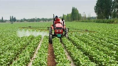 تعرف على أهم الدول المستوردة للحاصلات الزراعية المصرية