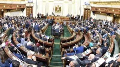 برلماني يطالب بتوجيه مخصصات مالية بالموازنة الجديدة لرفع الوعي لمواجهة الشائعات