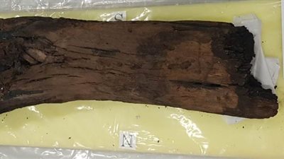 عيسى زيدان: استخراج ١٢٧٢ قطعة من مركب خوفو الثانية وترميم ١٢٠٠ قطعة منهم