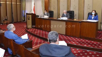 وزير المالية يكشف مصير أسعار البنزين والسولار بعد فرض رسوم جديدة