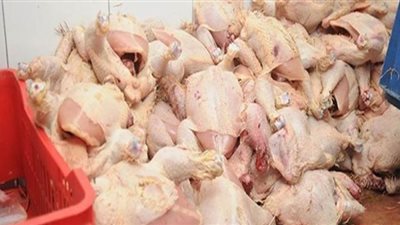 مصادرة 2 طن دواجن فاسدة بمطعم شهير للوجبات الجاهزة في حلوان 