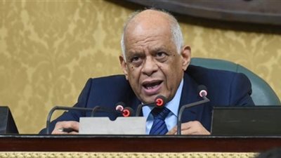 عبد العال: نتمنى العودة كبلد زراعى مرة ثانية