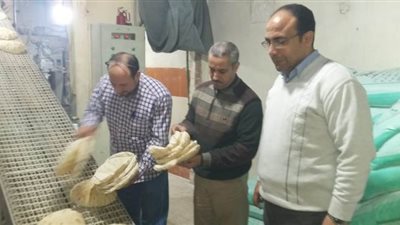 تحرير مخالفات لـ١١ مخبز ينتج خبز غير مطابق في الدقهلية