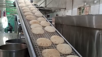 حملات تموينية تحرر 56 محضر مخالفات وتحيلها للنيابة العامة في الدقهلية 