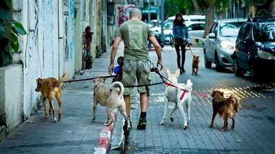 دراسة تكشف العلاقة بين وجود الكلاب وانخفاض معدلات الجريمة في الأحياء