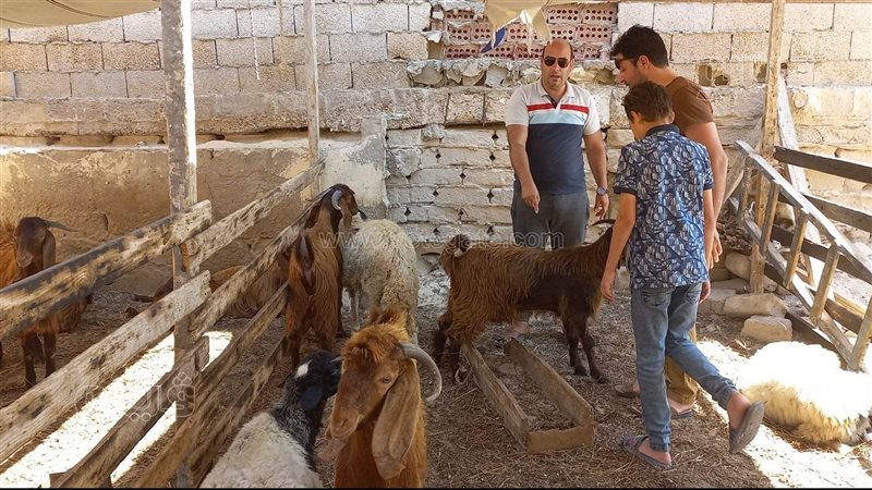 أسواق وشوارع العريش