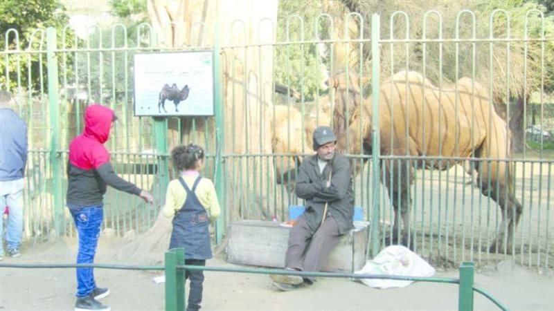 حديقة حيوان الجيزة