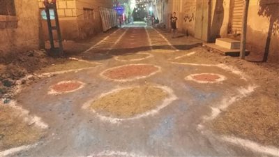 بالألوان ونشارة الخشب.. قرى الدقهلية تتزين احتفالا بعيد الأضحى المبارك | صور 