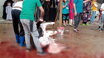 رغم تجهيز 34 مجزرا بالمجان.. الجزارون يخالفون ويذبحون الأضاحي بشوارع أسيوط | صور 