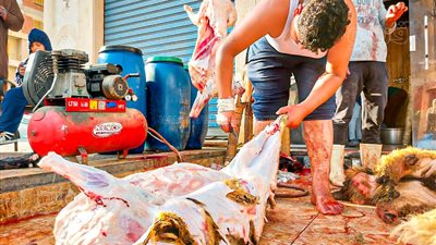 نحر أضاحي عيد الأضحى أمام المجازر في مطروح | صور