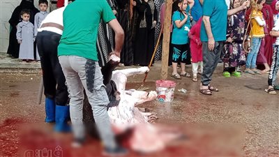 مخالفات عكرت صفو احتفالات عيد الأضحى.. الاختلاط في الصلاة والذبح بالشوارع أبرزها