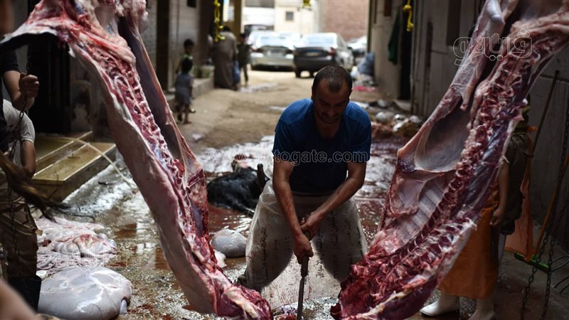 الذبح بشوارع القاهرة