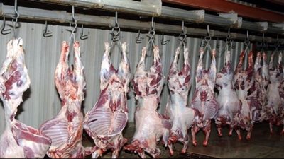 بيطري القاهرة: أختام المجزر الآلي سرية غير قابلة للتزوير