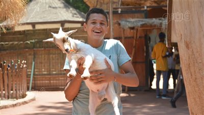  بـ 15 جنيها.. قرية الطفل فرصة للتعامل المباشر مع الحيوانات بحديقة الجيزة| صور 