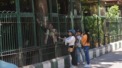 فسحة بخمسة جنيه.. حديقة الحيوان أبرز مزارات المواطنين للاحتفال بالعيد | صور 