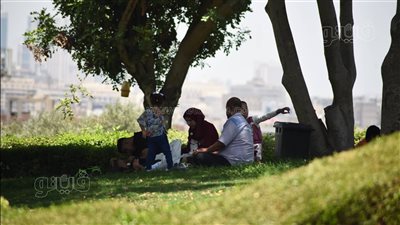الأسر والعائلات تسيطر على احتفالات أول أيام العيد في الحدائق | صور 