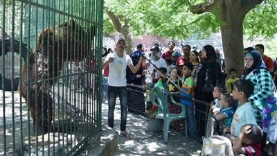 3 آلاف زائر بحديقة حيوان الإسكندرية في أول أيام عيد الأضحى 
