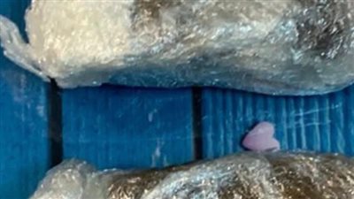 في أول أيام العيد..ضبط حشيش بحوزة راكب في مطار القاهرة