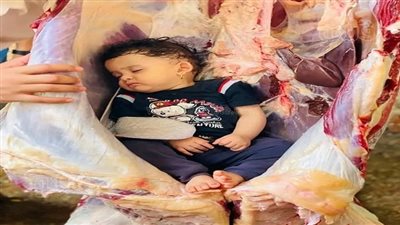 غلبها النعاس أثناء نحر الأضحية.. تداول صورة لطفلة نائمة داخل بطن 
