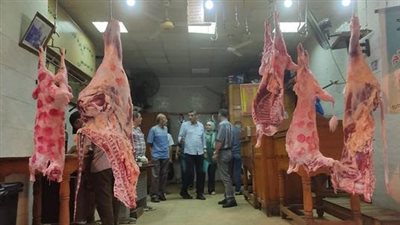  حصيلة أول أيام العيد.. 165 ألف جنيه غرامة على محال وشوادر الجزارة المخالفة بالمنتزه 