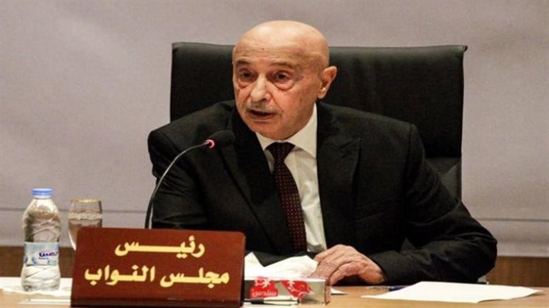 رئيس مجلس النواب