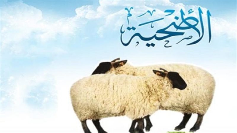 أحكام الأضحية 